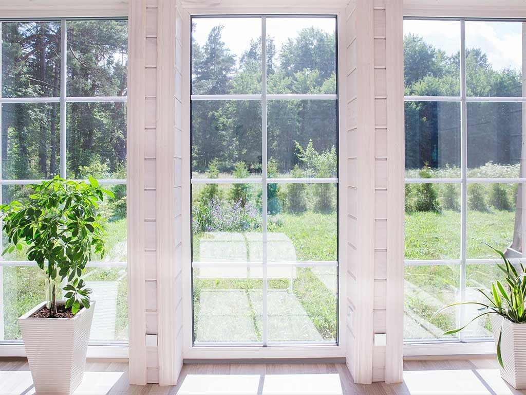 Regency Plus Windows
