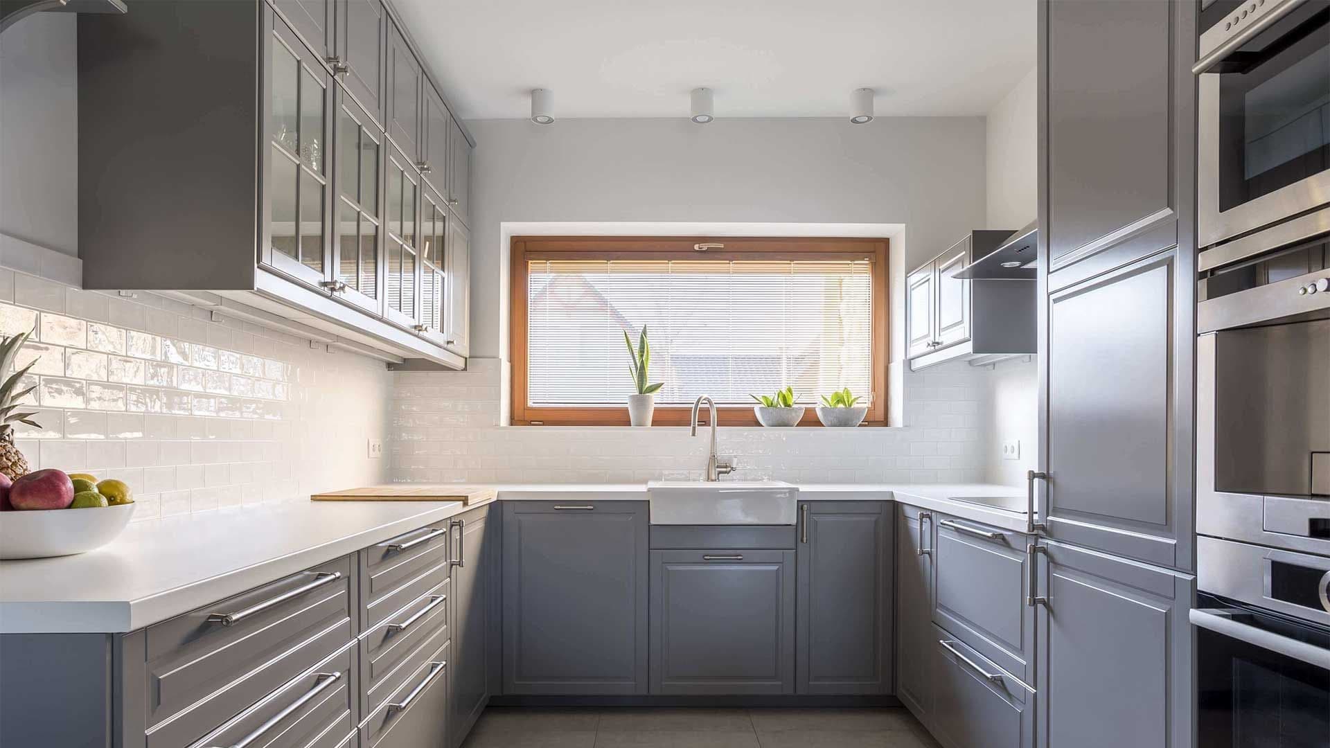 Regency Plus Windows